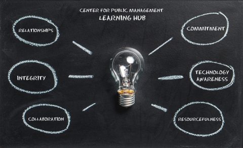 lightbulb surrounded by the developmental areas.